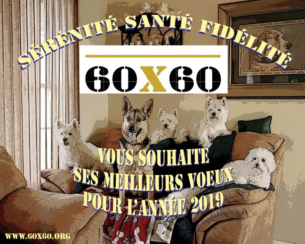 Voeux nouvel an 2019