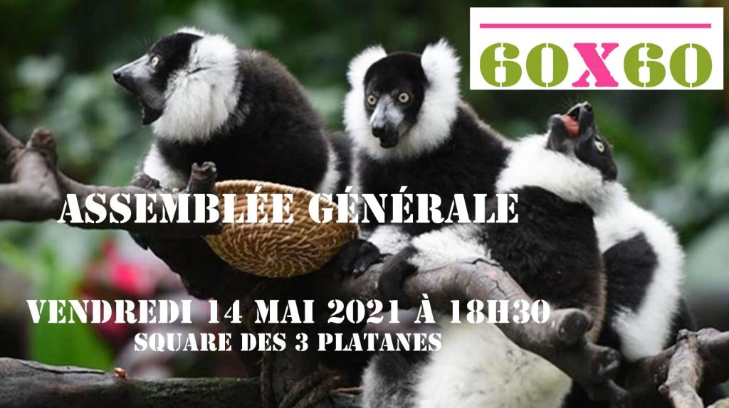 Assemblée générale 60×60