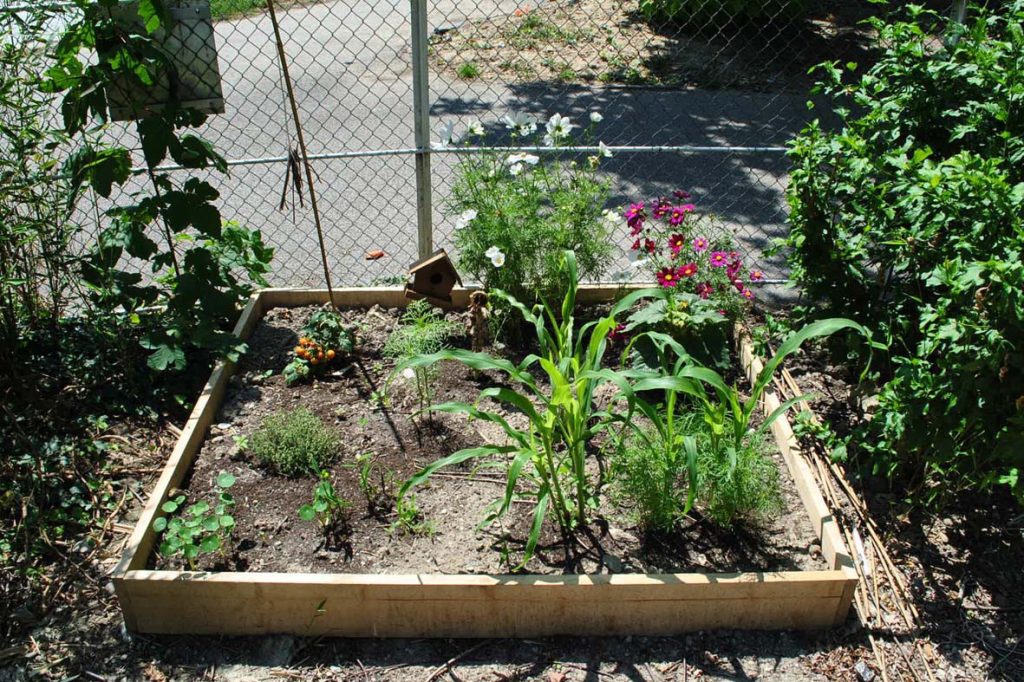 Potagers collectifs