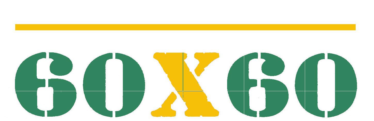 logo 60x60 vert orange