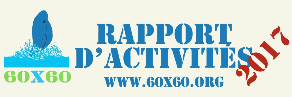 Rapport d&rsquo;activités 2017